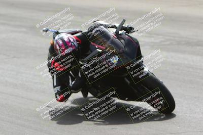 media/Apr-09-2022-SoCal Trackdays (Sat) [[c9e19a26ab]]/Bowl (120pm)/